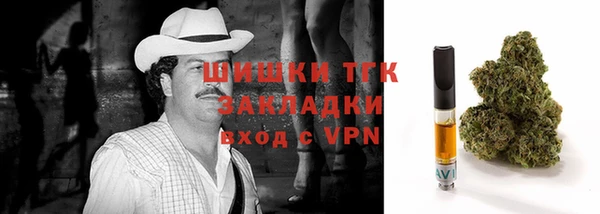 крисы Елабуга