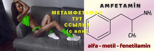 крисы Елабуга