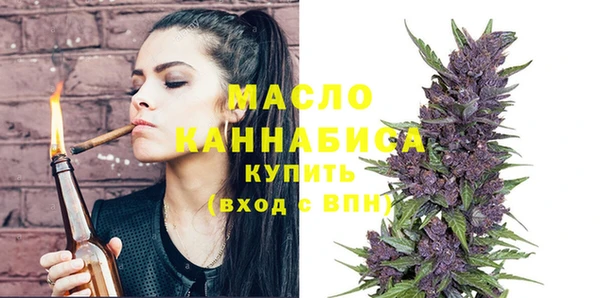 крисы Елабуга