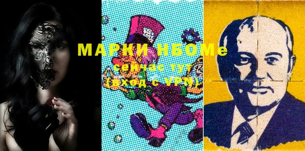 крисы Елабуга