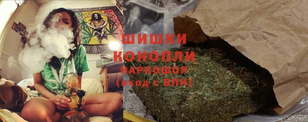 крисы Елабуга