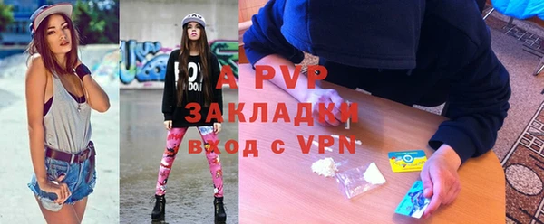 крисы Елабуга